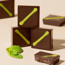 Dark Chocolate|Mint Chocolate<Hotel Chocolat Dark Peppermint Chocolate Selector