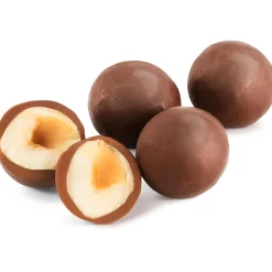 Nut Chocolate|Small Chocolate Gifts<Hotel Chocolat Praline-Milk Chocolate Hazelnuts Gift Tin