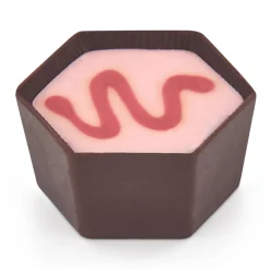 Fruity Chocolate|Chocolate Selectors<Hotel Chocolat Triple Cranberry Chocolate Selector